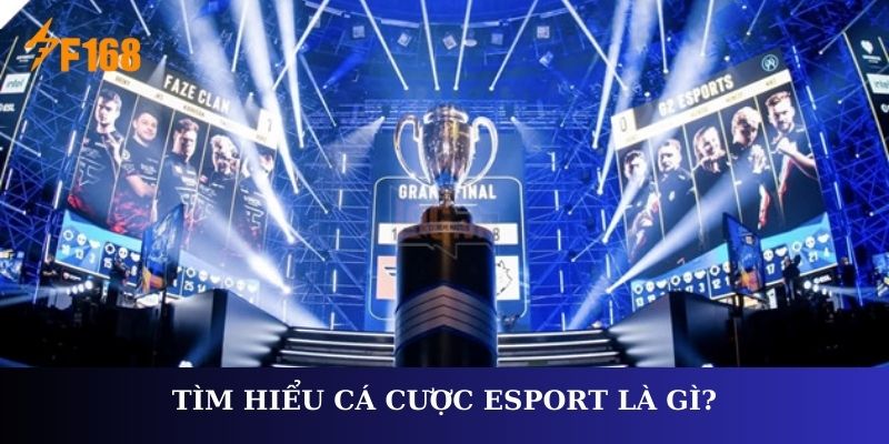 Thế Giới Cá Cược Esport - Top Nhà Cái Được Yêu Thích Nhất 2025 2 Tìm hiểu cá cược Esport là gì?